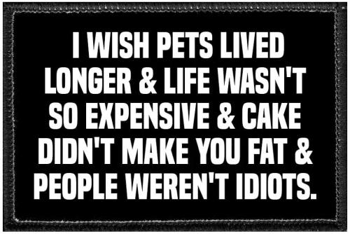 61V2YxZSTWL._AC_UF894,1000_QL80_FMwebp_