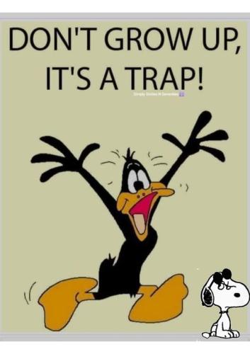 432737862_7931606400202935_6666192256833179512_n