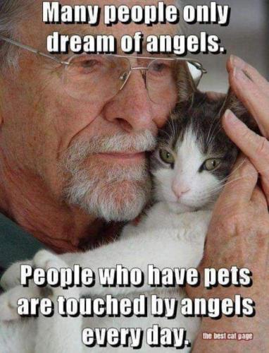 053cba9d54999234cf77c6e3929b5b1f