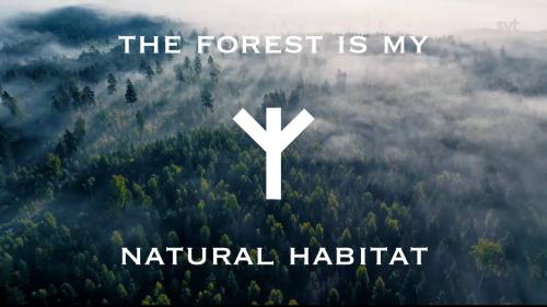 IMG_20240318_223327_120