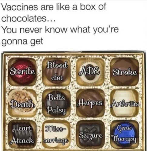 Vax Chocolates