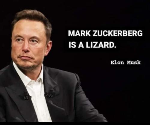 Mark Zuckerberg is a lizard Elon Musk