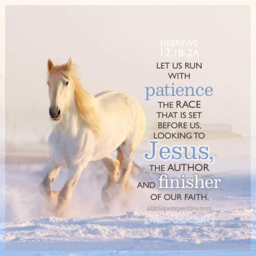 img-ff464c99