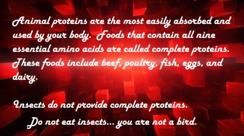 animal proteins