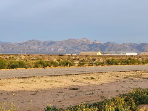 431481391_1305974673432667_271015740335468906_n