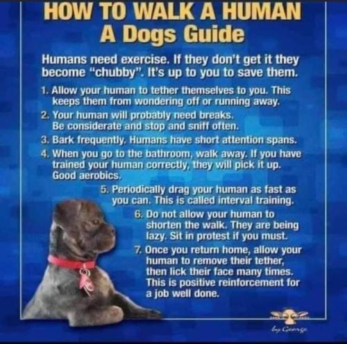 eb2348d066594e43073cc617e1bdb104