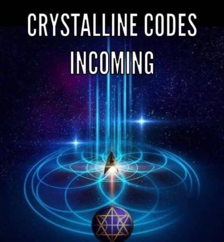 427710650_3742164726068582_7057887874650846983_n