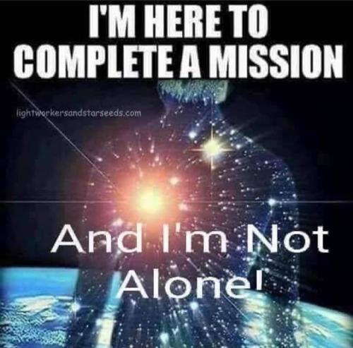 429806064_7238385146198691_92710725818633638_n