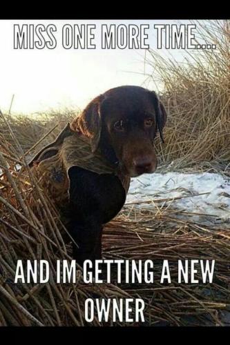 c0f27b2c395ee46f61ca5badecc2838e