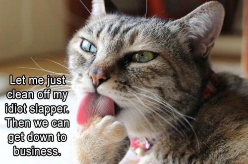 f7b2fed3a74ecd768796eda314975746