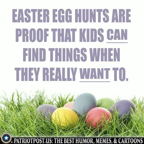 01HT3443H5GA3V0598G2GDVFTN