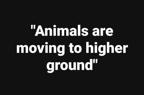 11:37:55 GMT-0400 (EDT)