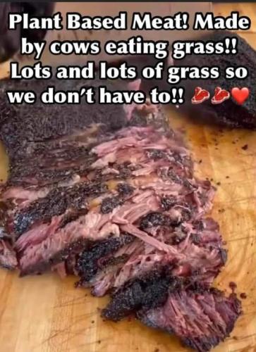 plant based meat