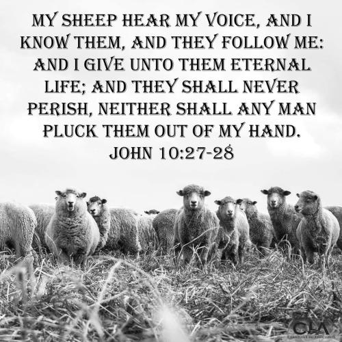 Facebook put a cover over this saying it depicted violent content.