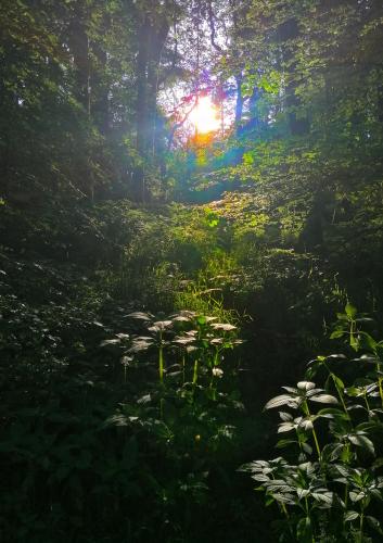 IMG_20220615_185809-01~2