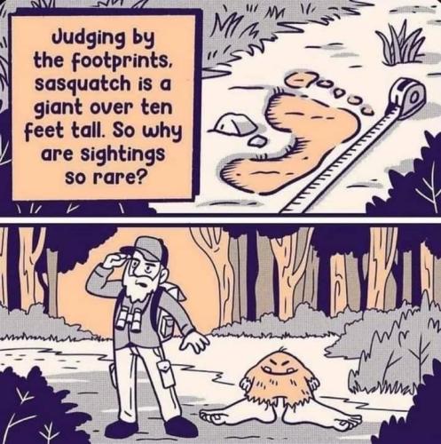 FB_IMG_1710988733649