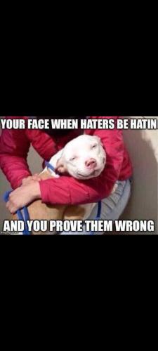 Screenshot_20231111-155756_Gallery