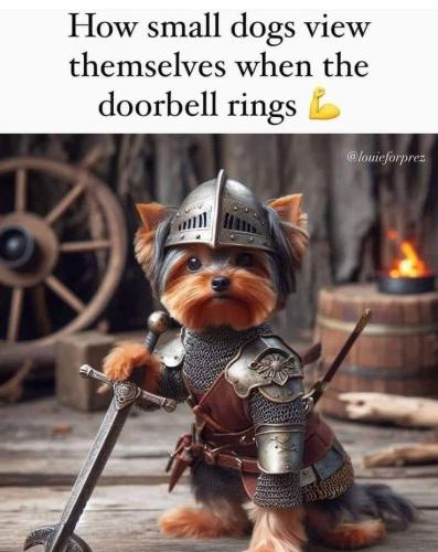 8ed388f77f97e0f2718f4d0739b2bd51