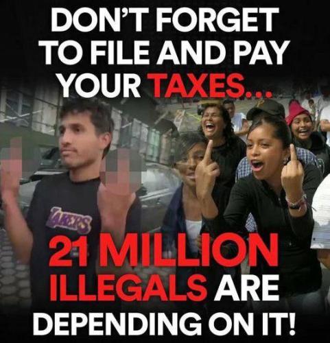 IMG_20240303_134320_938