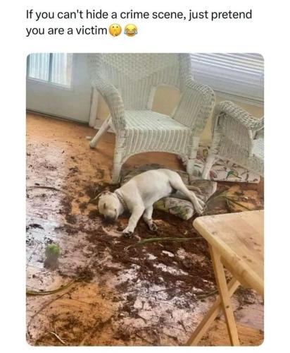 31d44b038dc54275516f92e6d4a0245a