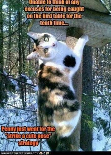 cf7c93ca66b20f64776c60d585de472f