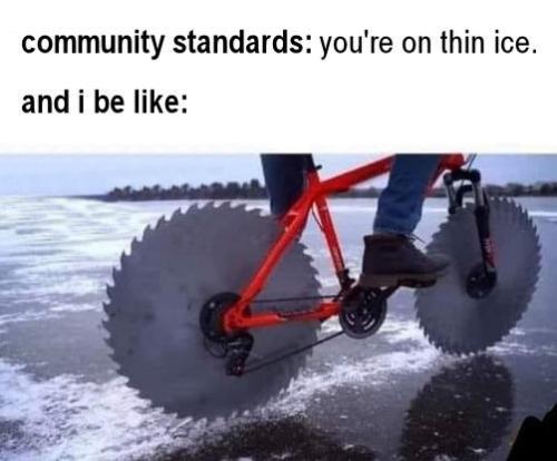 community standards26