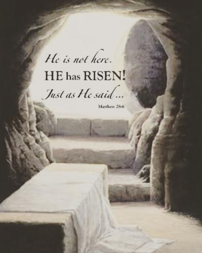 IMG_20240331_045641_644