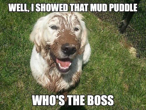 6f27f3939e0e7982df1ac83be4459ff3