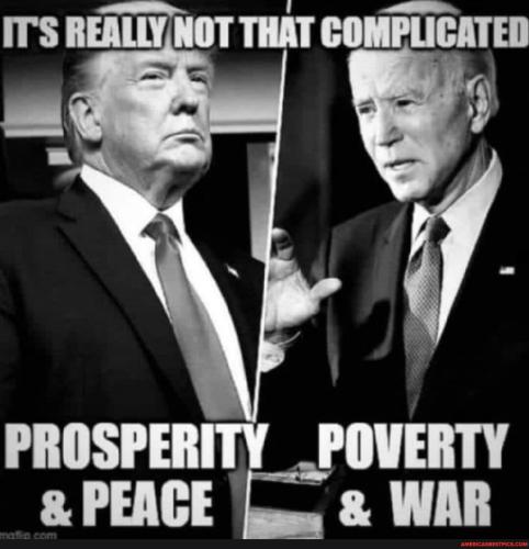 e3555b969db5f5290daf311a379dc8298d905d234c22ab6f7c538753c3e673f6_1