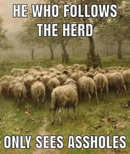 432924793_387181890753345_6829697571419766555_n