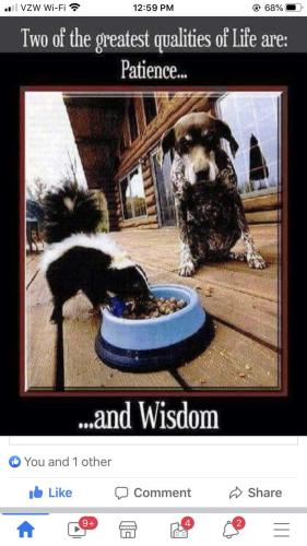 94fbf0d990fb2f10ad2987397f619dbb