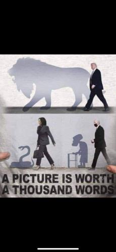 FB_IMG_1711919131625