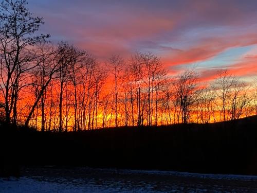 15770B92-CAB0-4B9B-9395-BEEF1E5A475F