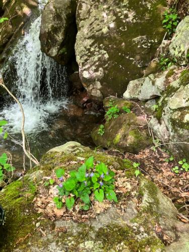 91DE959C-2E90-4DD5-8668-EA335532E682