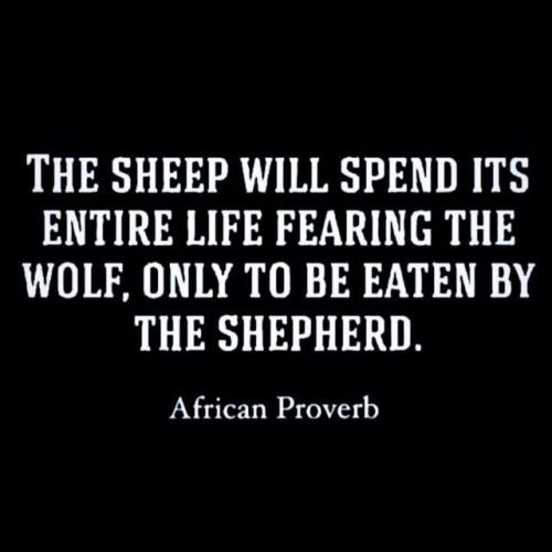 IMG_20240312_213312_013