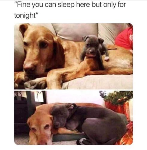 25e759ae35303519e072f8bfe904db3c