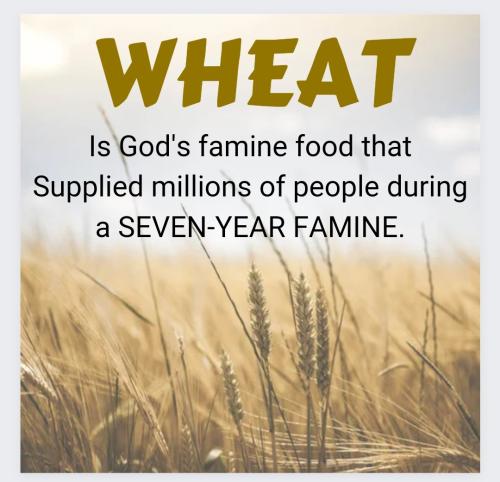 09:05:29 GMT-0400 (EDT)