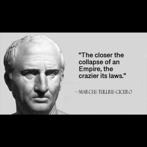 InstaFit_17093085154141899119408981639758