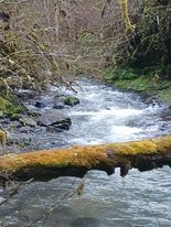 432857703_403924425833893_4249032627485624554_n