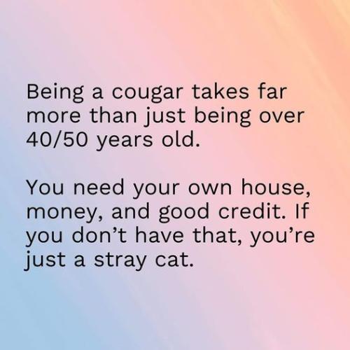 cougar