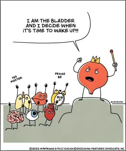 434054917_392591983724598_8768172022899770479_n