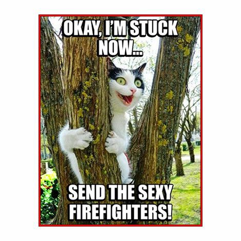 0c30701603b068fce4f77c68b88f748d