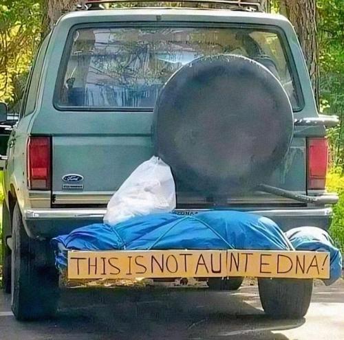 423236574_7864138226938135_5811931400546514173_n