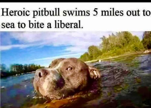 AF88069F-C30A-4E6D-9219-BA289C7E3DFE