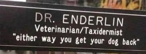 432522029_911585294304706_6786964864686472329_n