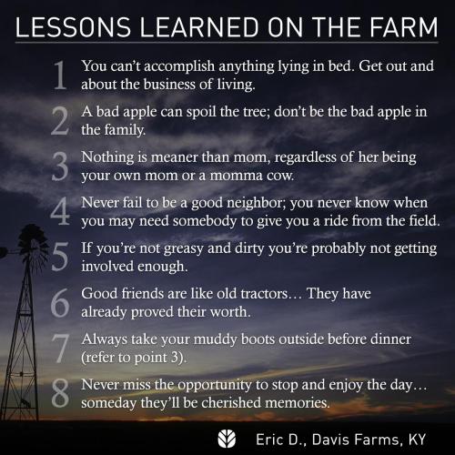 429665146_906481571487466_1601298055386333601_n