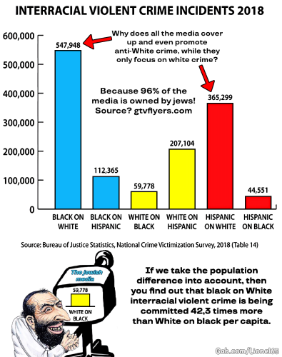 Black Crime Stats