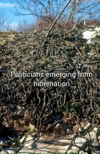 GridArt_20240327_102419442