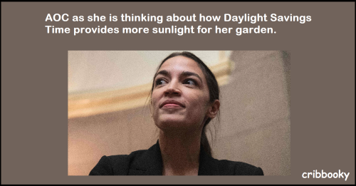 aoc_likes_dst