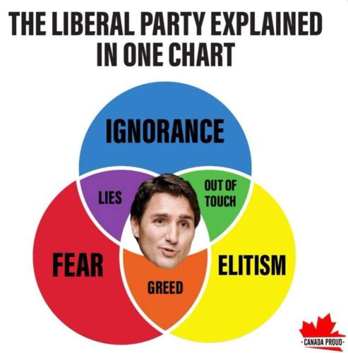 liberal party explained